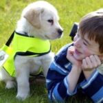 Autism in Dogs - 3 Signs That Your Dog May Be Autistic