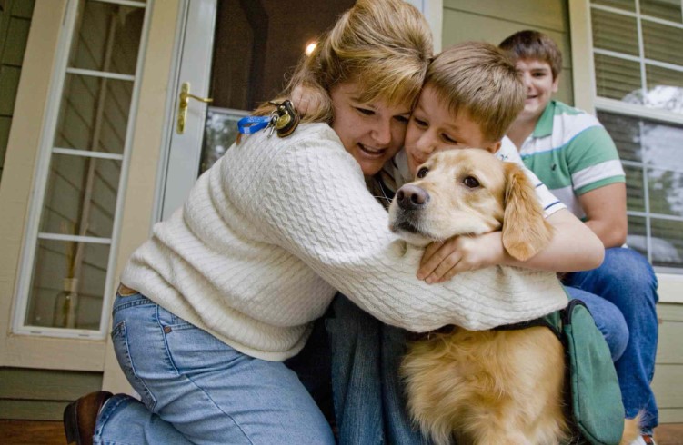 Autism in Dogs - 3 Signs That Your Dog May Be Autistic | worovo