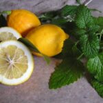 Lemon Balm Benefits