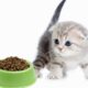 How much should a British Shorthair eat?